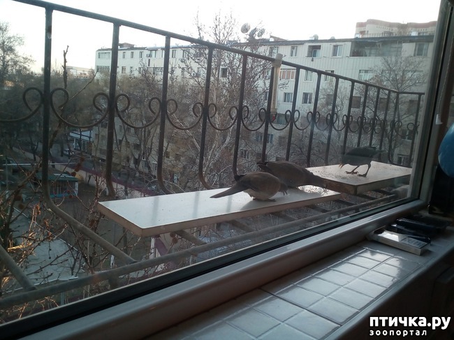 ���� 1: ���� ������