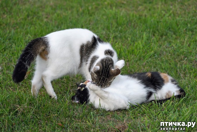 ���� 4: ��� ����� ������������ ���������� ���