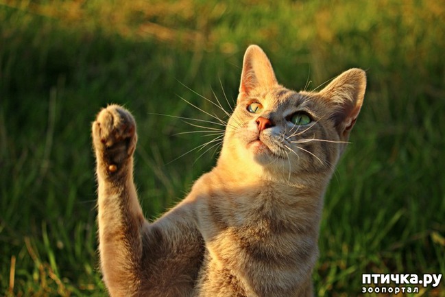 ���� 5: ��� ����� ������������ ���������� ���