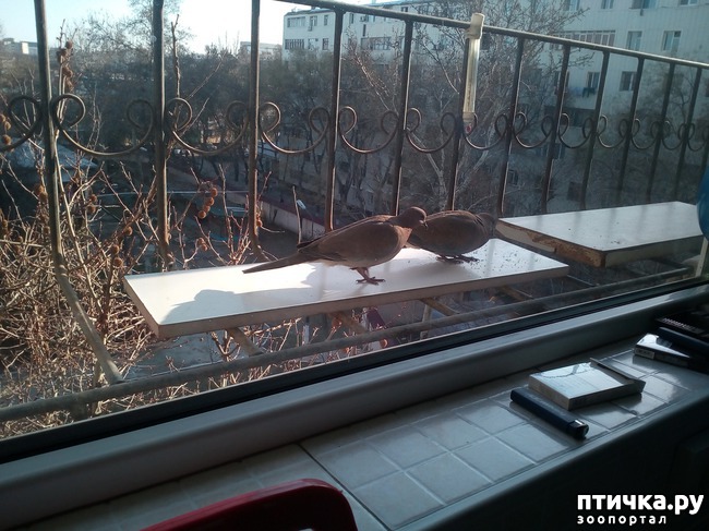 ���� 2: ���� ������