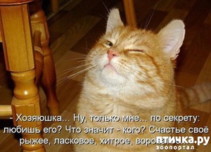 ����: ����� ����� �� ������?