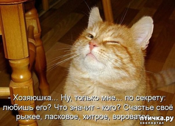 ���� 1: ����� ����� �� ������?