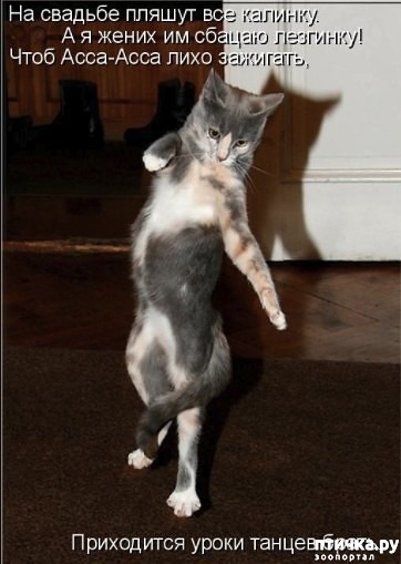 ���� 2: ����� ����� �� ������?