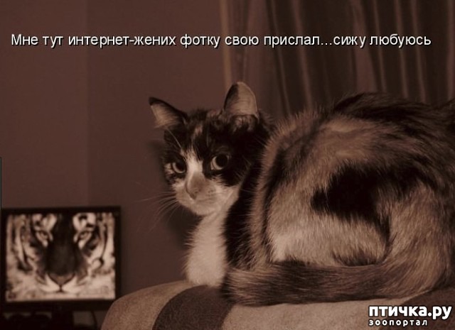 ���� 3: ����� ����� �� ������?