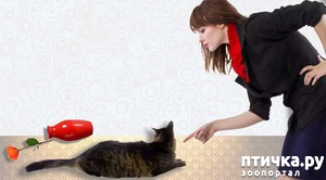 ����: ����� �� ���������� �����?