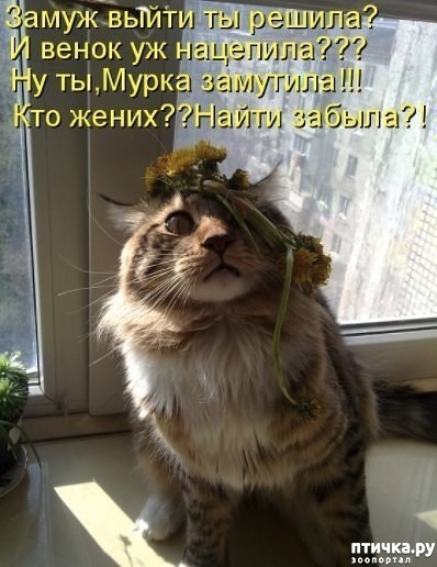 ���� 4: ����� ����� �� ������?