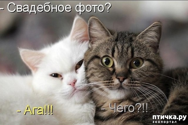 ���� 5: ����� ����� �� ������?