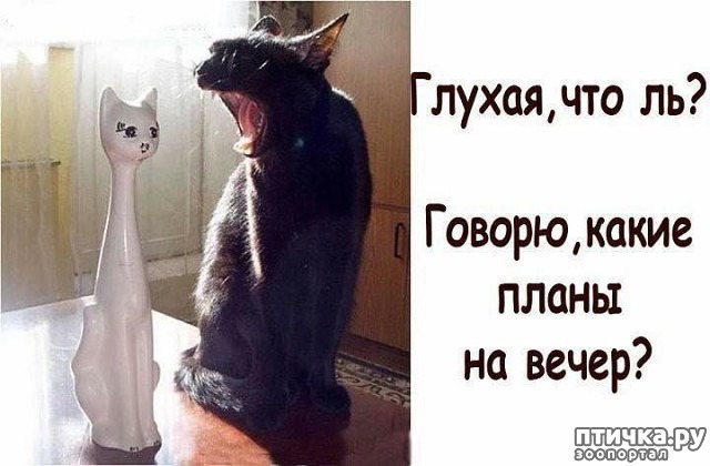 ���� 6: ����� ����� �� ������?