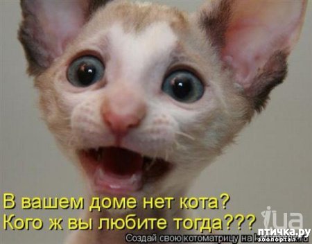 ���� 7: ����� ����� �� ������?