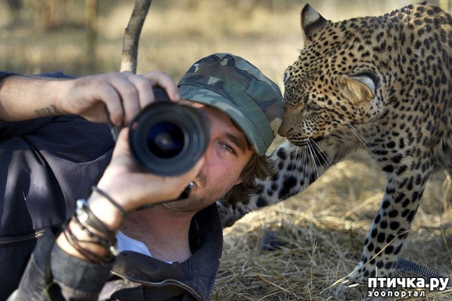 ���� 3: ����� ���������� ���������-����������� :-)