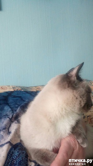 ����: �������� ����������