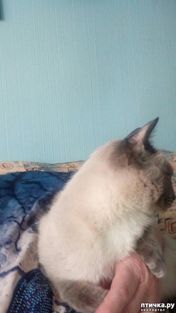 ���� 1: �������� ����������