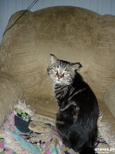 ���� 1: ��� ���� �������