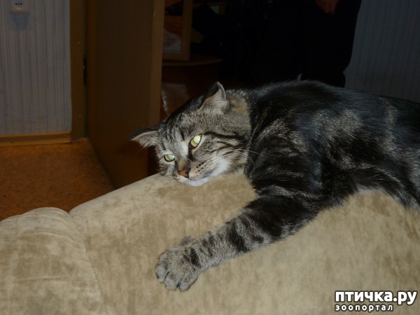 ���� 2: ��� ���� �������