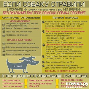 ����: ���� ������ ��������.