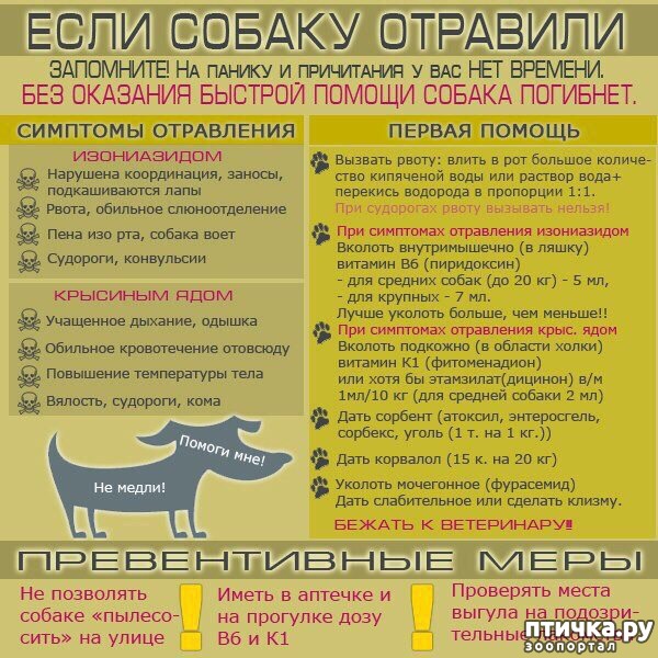 ���� 1: ���� ������ ��������.