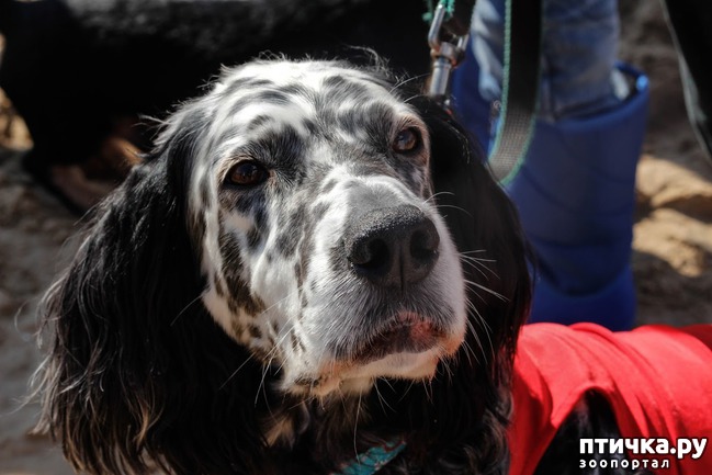 ���� 5: ����� �������-2018 �� ��������