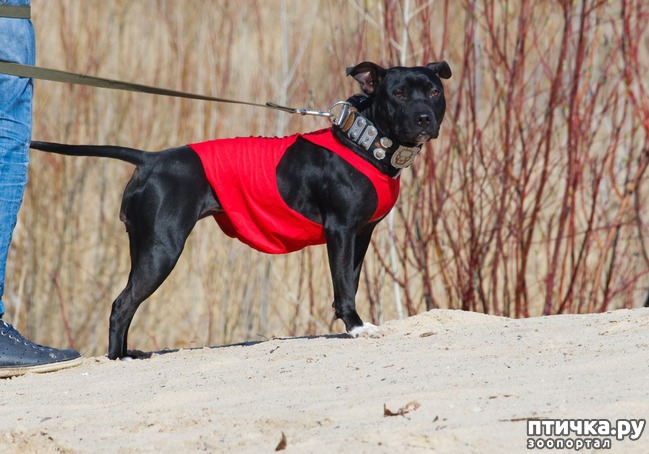 ���� 3: ����� �������-2018 �� ��������