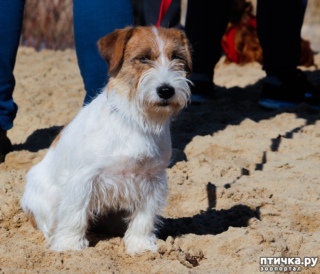 ���� 2: ����� �������-2018 �� ��������