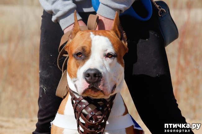 ���� 6: ����� �������-2018 �� ��������