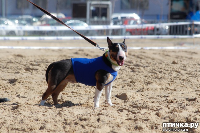 ���� 4: ����� �������-2018 �� ��������