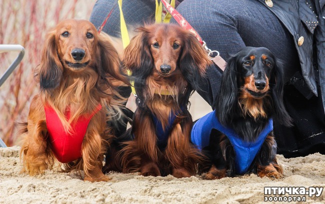 ���� 8: ����� �������-2018 �� ��������