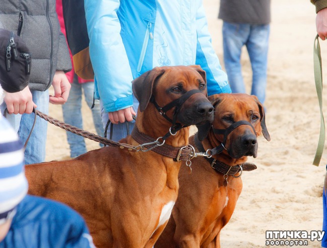 ���� 9: ����� �������-2018 �� ��������