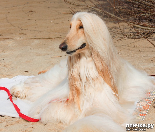 ���� 10: ����� �������-2018 �� ��������