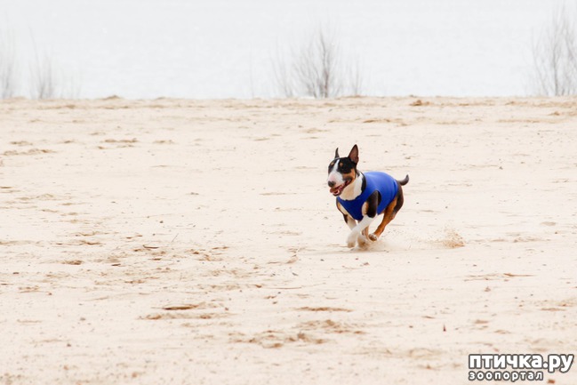 ���� 16: ����� �������-2018 �� ��������