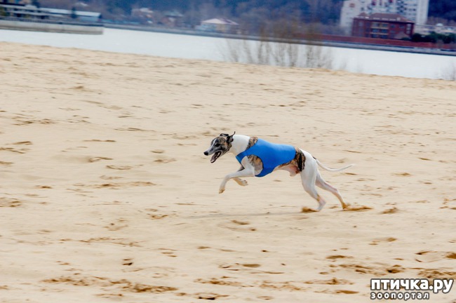 ���� 14: ����� �������-2018 �� ��������