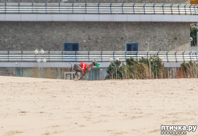 ���� 12: ����� �������-2018 �� ��������