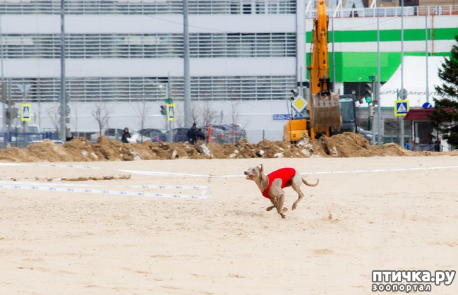 ���� 17: ����� �������-2018 �� ��������