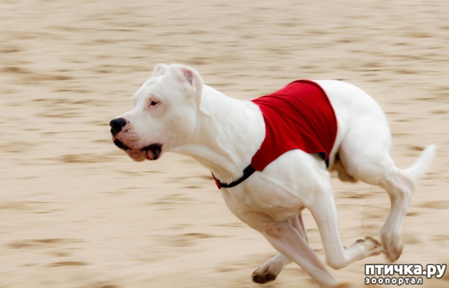 ���� 19: ����� �������-2018 �� ��������