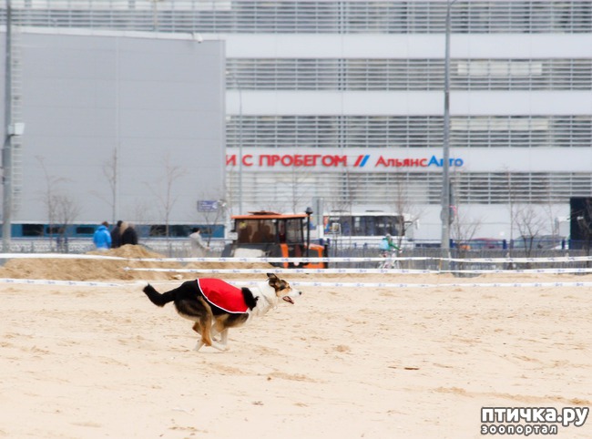 ���� 20: ����� �������-2018 �� ��������