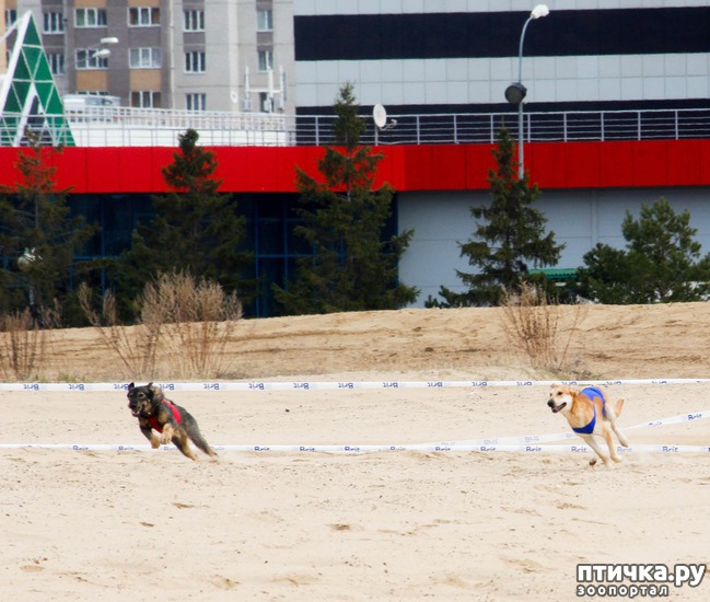 ���� 22: ����� �������-2018 �� ��������