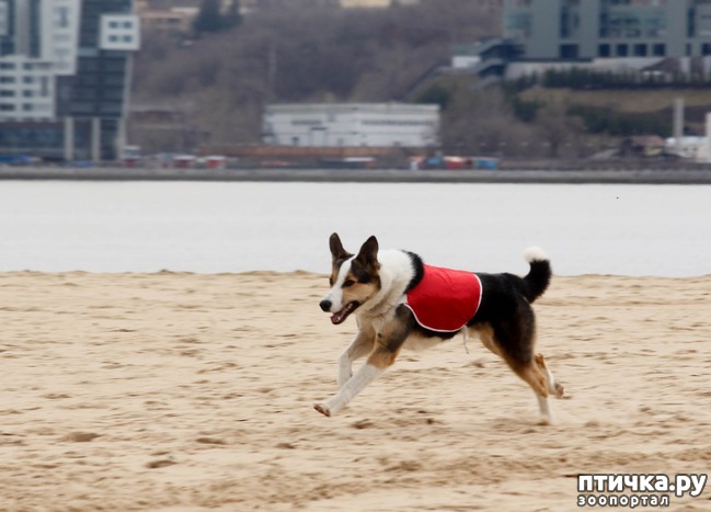 ���� 21: ����� �������-2018 �� ��������