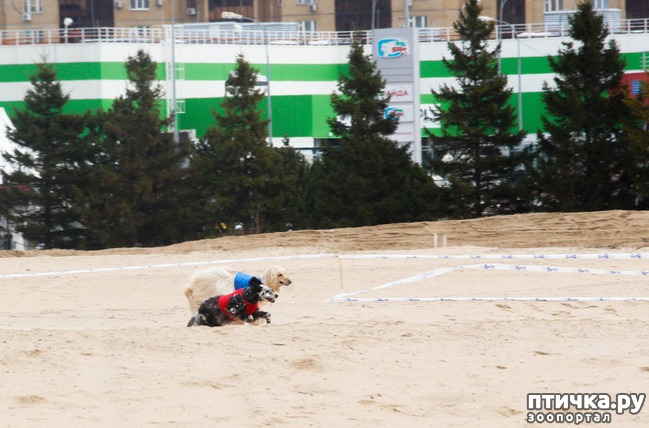 ���� 23: ����� �������-2018 �� ��������