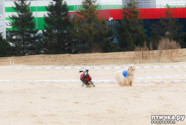 ���� 24: ����� �������-2018 �� ��������