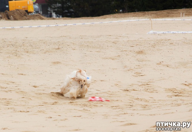 ���� 25: ����� �������-2018 �� ��������