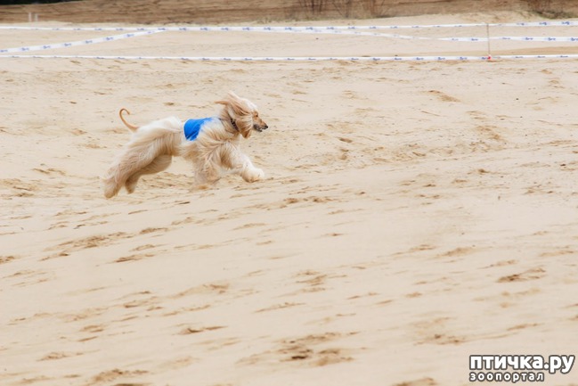 ���� 27: ����� �������-2018 �� ��������