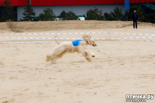 ���� 28: ����� �������-2018 �� ��������