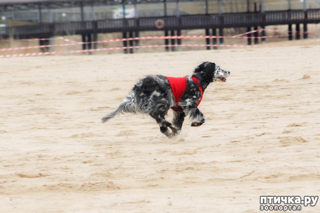 ���� 30: ����� �������-2018 �� ��������