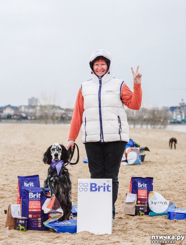 ���� 31: ����� �������-2018 �� ��������