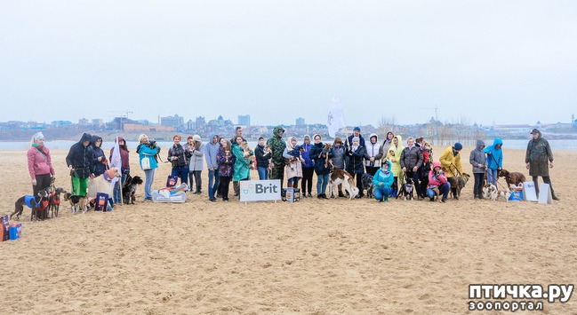 ���� 32: ����� �������-2018 �� ��������