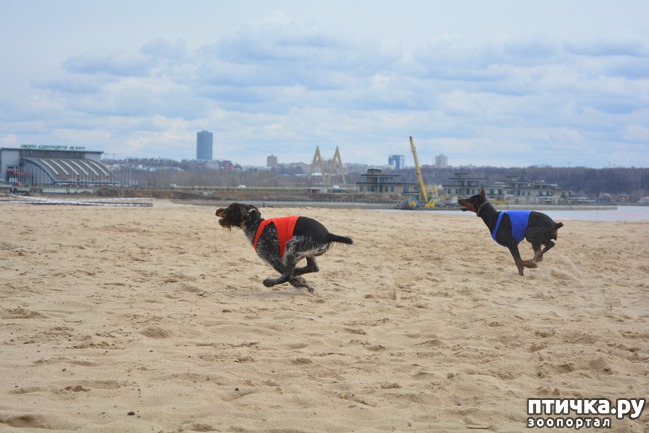 ���� 36: ����� �������-2018 �� ��������