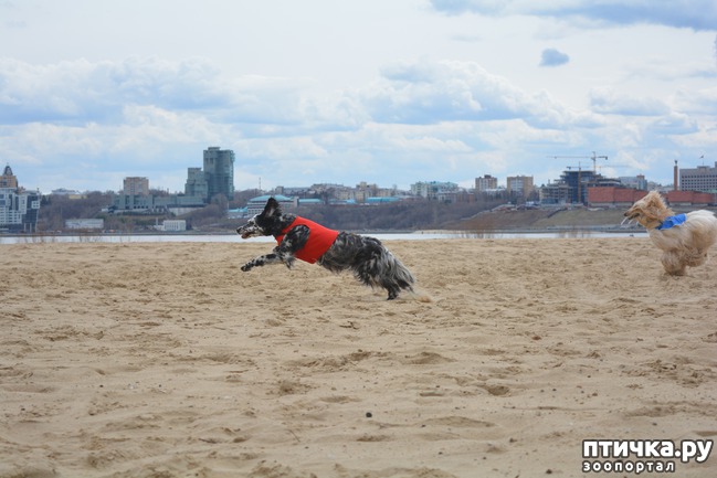 ���� 37: ����� �������-2018 �� ��������