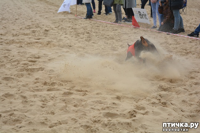 ���� 35: ����� �������-2018 �� ��������