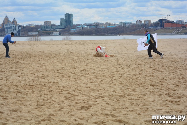 ���� 33: ����� �������-2018 �� ��������