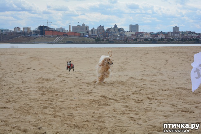 ���� 39: ����� �������-2018 �� ��������