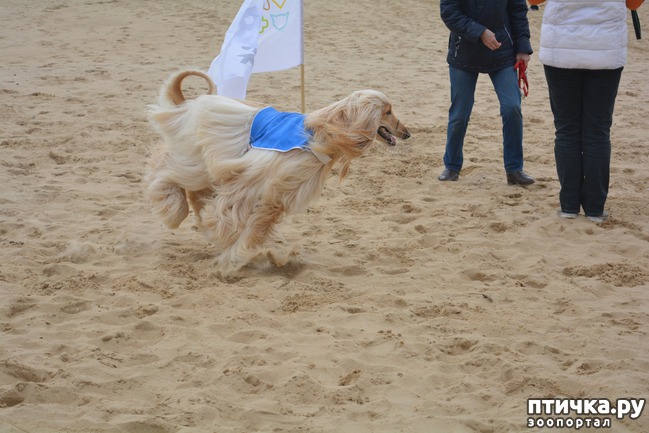 ���� 40: ����� �������-2018 �� ��������